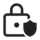 ic_fluent_lock_shield_24_regular